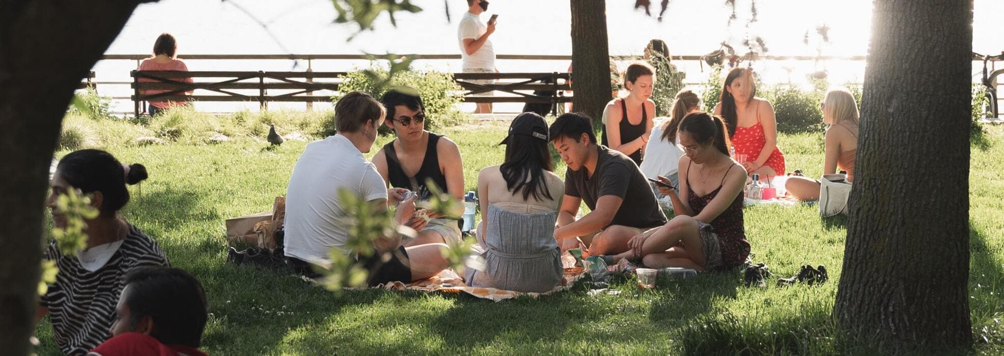 Vänner har picknick i park