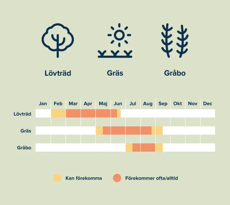 Bild med text som visar olika årstider då pollen förekommer: Lövträd, Gräs, Gråbo