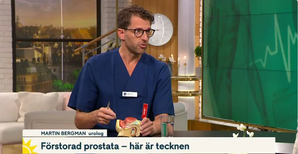 Martin Bergman medverkar i Nyhetsmorgon