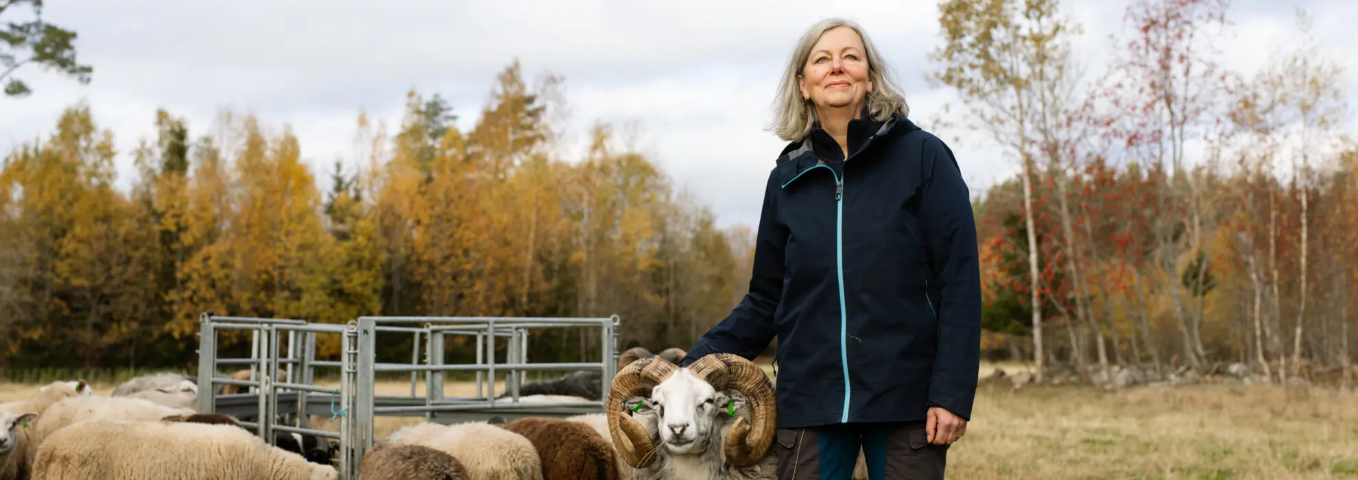 Kvinna står med får i en hage