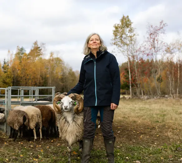 Karin står i en hage med får